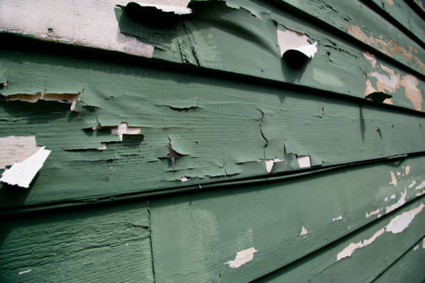 Best Same-Day Junk Removal Services  in New Chicago, IN
