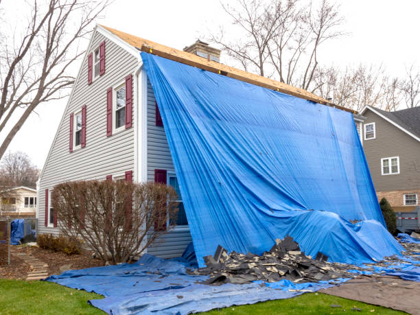  New Chicago, IN Junk Removal Pros